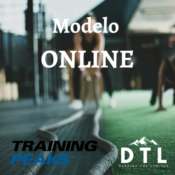 Plan de Entrenamiento Básico
